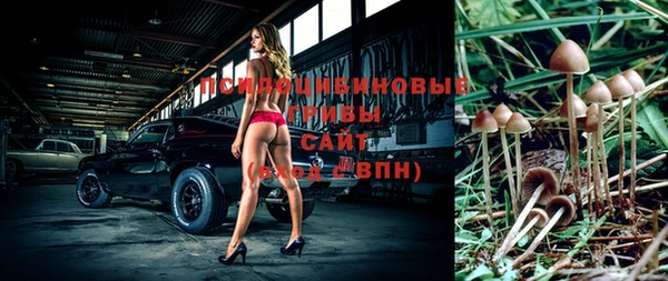 соль курить ск Алзамай