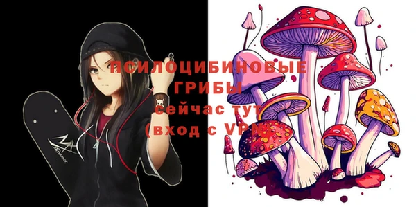 ALPHA PVP Алексеевка
