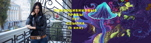 ALPHA PVP Алексеевка