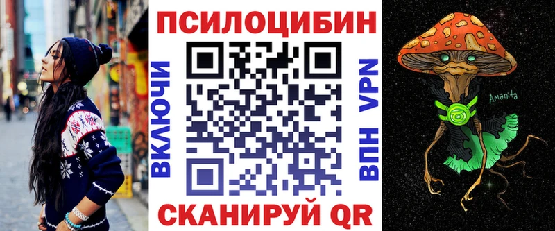 Купить  Константиновск  Псилоцибиновые грибы GOLDEN TEACHER 